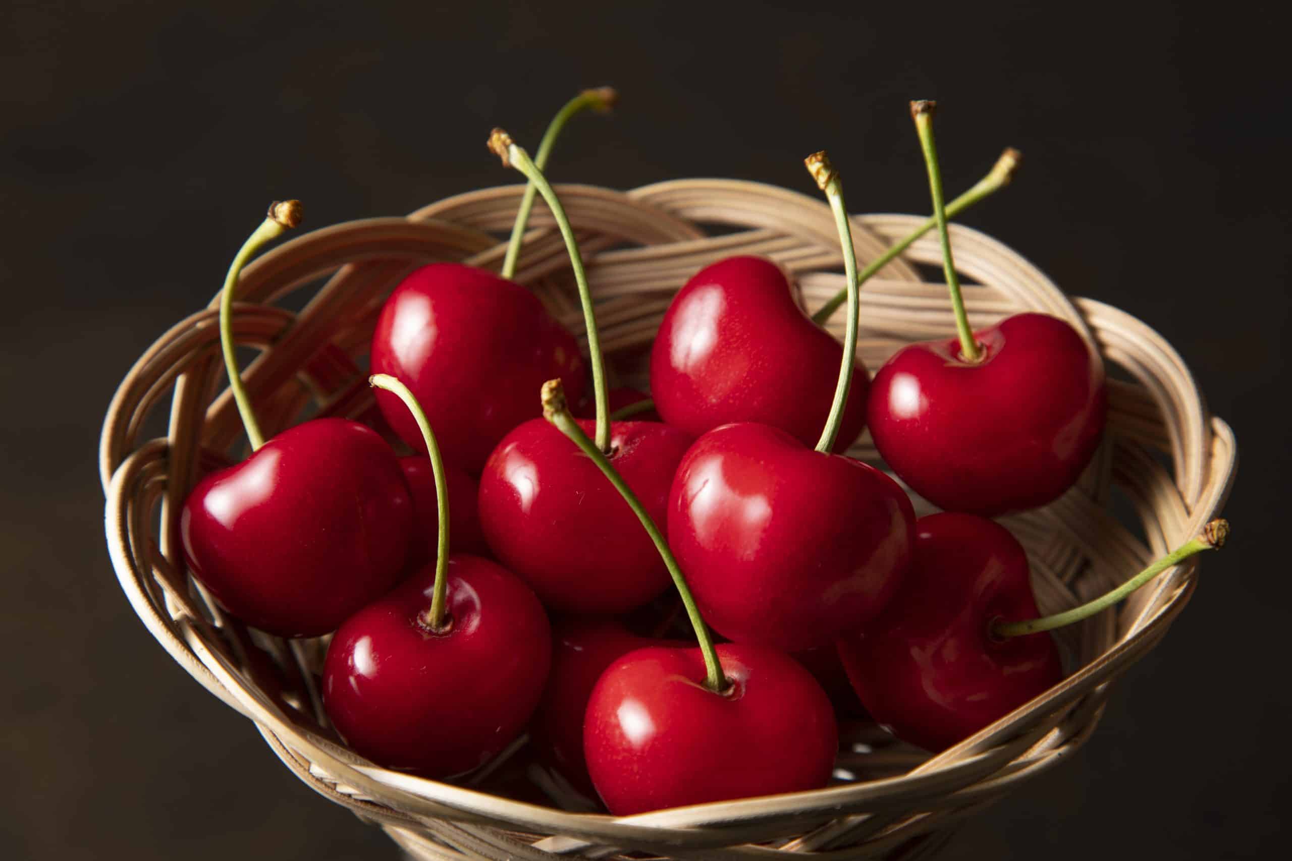 ‼️激レア‼️ 大日本住友製薬　ロナセンバード sub2-scaled.jpg