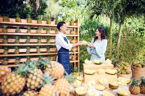 生産地・西表島で農家こだわりの完熟ピーチパインを楽しむ